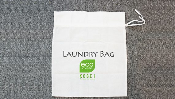 Túi giặt là eco